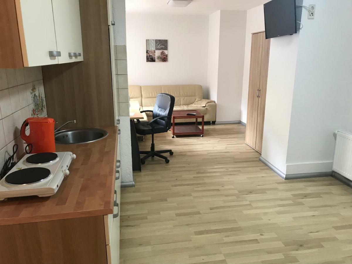 Appartment Mittweida Exteriér fotografie